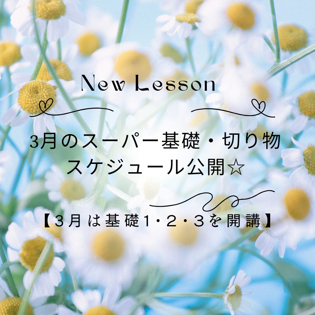 2025年3月基礎&切り物スケジュールアップのお知らせ☆